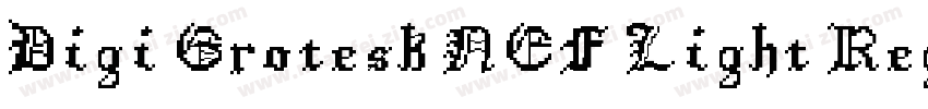 Digi Grotesk NEF Light Regular字体转换